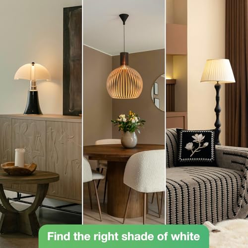 A19 LED Light Bulbs, 60 Watt Equivalent LED Bulbs, Soft White 2700K, 800 Lumens, E26 Standard Base, Non-Dimmable, 8W Warm White LED Bulbs for Bedroom Living Room, 12 Pack