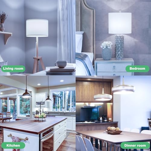 100W Equivalent A19 5000K Daylight LED Light Bulbs, 1500 Lumens, E26 Base, Non-Dimmable, 13W Bright White for Bedroom Home Office, 3 Pack