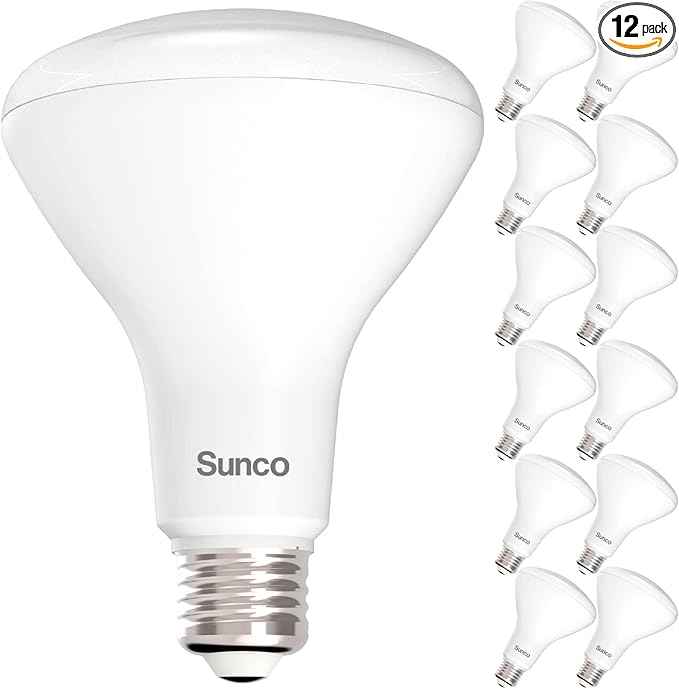 Sunco 12 Pack BR30 Light Bulbs LED, Recessed Can Light Bulbs, Indoor Flood Bulb, 850 LM, 11W (65W Equivalent), 3000K Warm White, Dimmable, E26 Base, for Home, Kitchen, Bedroom UL