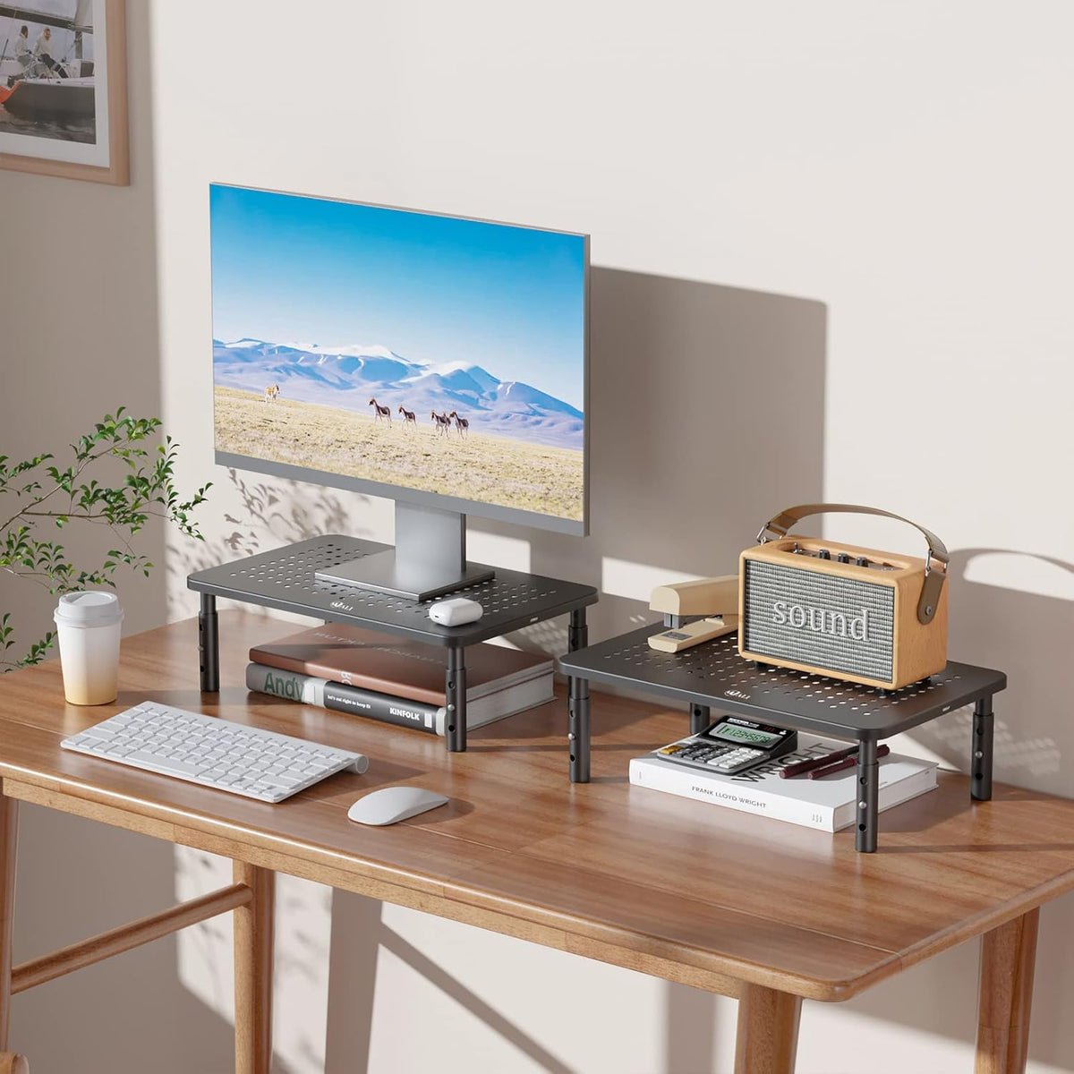 WALI Computer Monitor Stand for Desk, Adjustable Laptop Riser, Desk Monitor Stand Underneath Storage for Office, Home (Black)
