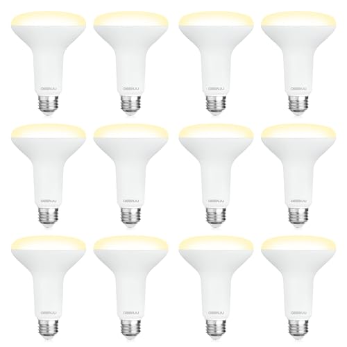 12 Pack BR30 LED Recessed Light Bulb, Dimmable Indoor Flood Light Bulbs CRI80 7W Equivalent 65W 2700K Soft White 650 Lumens