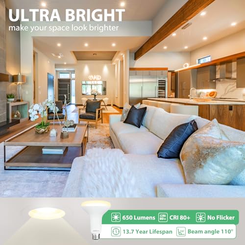 12 Pack BR30 LED Recessed Light Bulb, Dimmable Indoor Flood Light Bulbs CRI80 7W Equivalent 65W 2700K Soft White 650 Lumens