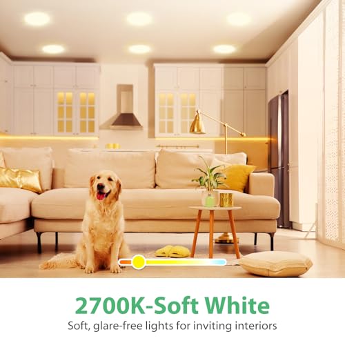 12 Pack BR30 LED Recessed Light Bulb, Dimmable Indoor Flood Light Bulbs CRI80 7W Equivalent 65W 2700K Soft White 650 Lumens