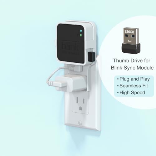 256GB USB Flash Drive & Outlet Wall Mount for Blink Sync Module 2 (Module Not Included)