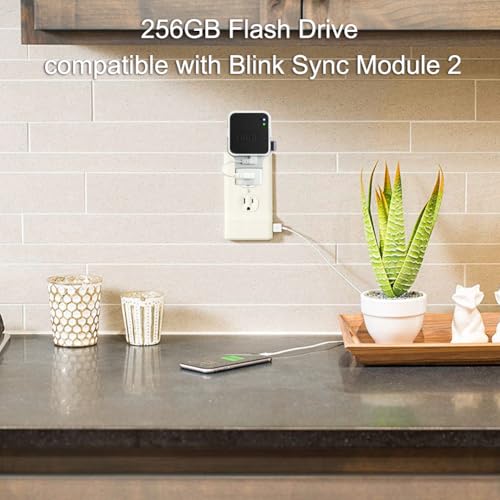 256GB USB Flash Drive & Outlet Wall Mount for Blink Sync Module 2 (Module Not Included)