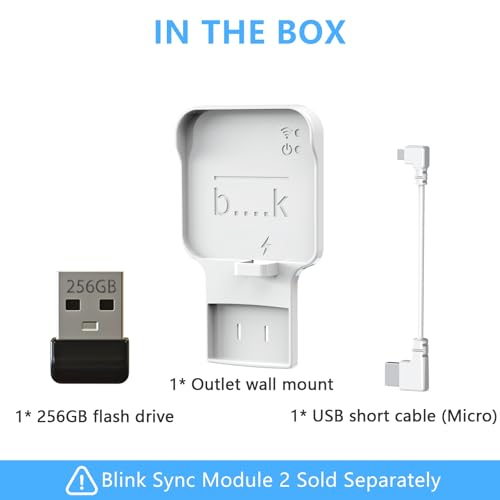 256GB USB Flash Drive & Outlet Wall Mount for Blink Sync Module 2 (Module Not Included)
