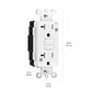 Basics Weather-Resistant Tamper-Resistant GFCI Receptacle with LED Indicator, Self-Test Feature, Ground Fault Circuit Interrupter for Indoor or Outdoor Use, 20 Amp, White