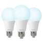 100W Equivalent A19 5000K Daylight LED Light Bulbs, 1500 Lumens, E26 Base, Non-Dimmable, 13W Bright White for Bedroom Home Office, 3 Pack