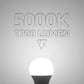 TORCHSTAR 1700LM Universal Garage Door Opener LED Light Bulb, UL FCC DOE, 15W Ultra Bright, Minimize Interference, 100W Eqv. 120V, A19 Bulbs, E26 Base, 5000K Daylight, Pack of 2