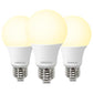 A19 LED Light Bulbs, 60 Watt Equivalent LED Bulbs, Soft White 2700K, 800 Lumens, E26 Standard Base, Non-Dimmable, 8W Warm White LED Bulbs for Bedroom Living Room, 3 Pack
