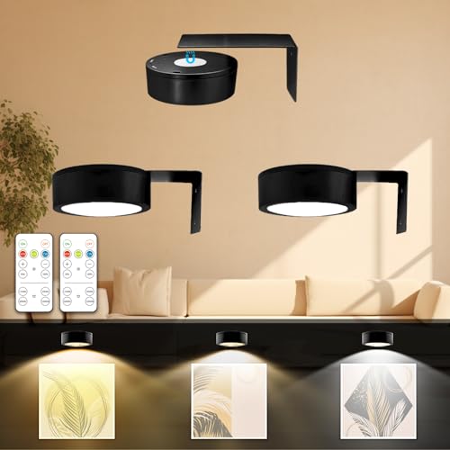 3PACK Picture Light Battery Operated with Remote, Painting Light for Wall Art with 3 Lighting Colors Dimmable, LED Art Display Accent Light on Wall