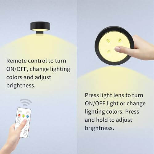 3PACK Picture Light Battery Operated with Remote, Painting Light for Wall Art with 3 Lighting Colors Dimmable, LED Art Display Accent Light on Wall