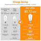 Ascher Vintage LED Edison Bulbs, 6W, Equivalent 60W, Non-Dimmable, High Brightness Cool White 4000K, ST58 Antique LED Filament Bulbs with 80+ CRI, E26 Medium Base, Clear Glass, Pack of 6
