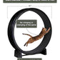 One Fast Cat - Cat Exercise Wheel - Gen. 7 - Safe 48" Diameter - Made in The USA - Black Wheel with Black Felt Traction Pads and Solid Inline Wheels