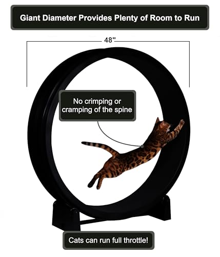One Fast Cat - Cat Exercise Wheel - Gen. 7 - Safe 48" Diameter - Made in The USA - Black Wheel with Black Felt Traction Pads and Solid Inline Wheels