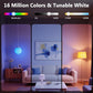 DAYBETTER Smart Light Bulbs, RGBCW Color Changing Smart Bulb Compatible with Alexa & Google Home,Preset Scene, Music Sync, A19 E26 2.4G WiFi Bluetooth Dimmable LED Bulbs, 60W Equivalent, 800LM, 6 Pack