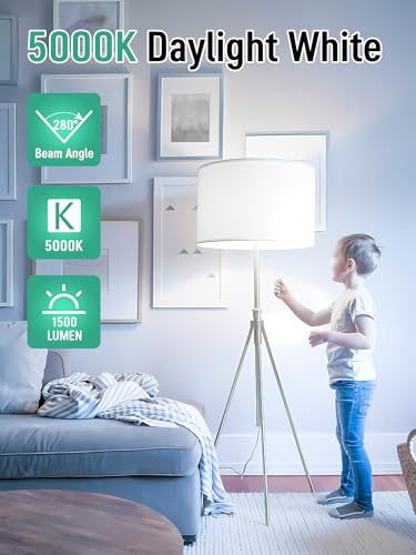 12 Pack LED Light Bulbs 100 Watt Equivalent, A19 15W 5000K Daylight, Super Bright White Light 1500 Lumens, E26 Standard No Flicker Energy Saving Lamp Bulb for Home, Bedroom, Office, Non-Dimmable
