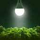 Briignite Full Spectrum LED Grow Light Bulb - A19 E26 Base, 11W (100W Equivalent) - for Indoor Plants, Seed Starting - 3 Pack