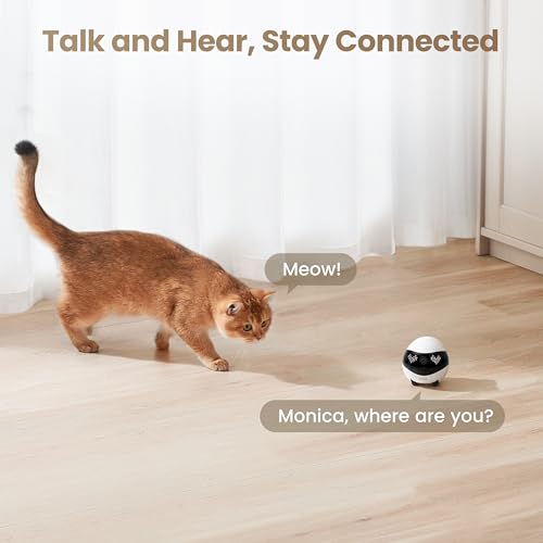 Enabot EBO Air 2 Mobile Pet Camera Robot: 2K FamilyBot with Two-Way Talk | Family Companion with Whole-Home Mobility, Custom Pixel Facial Expression, Auto-Recharge, Night Vision, Long Distance Gift