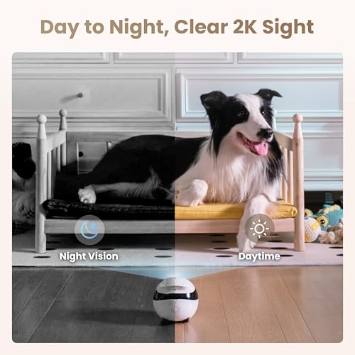 Enabot EBO Air 2 Mobile Pet Camera Robot: 2K FamilyBot with Two-Way Talk | Family Companion with Whole-Home Mobility, Custom Pixel Facial Expression, Auto-Recharge, Night Vision, Long Distance Gift