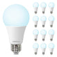 LED Light Bulbs, 100 Watt Equivalent LED Bulbs A19, 5000K Daylight Light Bulb, 1500 Lumens, E26 Standard Base, Non-Dimmable, 13W Bright White LED Bulbs for Bedroom Home Office, 12 Pack