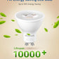 DEWENWILS 10-Pack GU10 LED Bulb Dimmable, 3000K Warm White GU10 Bulb Replacement for Track Lighting, 500LM, 7W(50W Equivalent) LED Light Bulb for Kitchen, Range Hood, Living Room, Bedroom