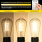 Vintage LED Edison Bulbs 6W, Equivalent 60W Incandescent, Warm White 2700K, ST58 Antique LED Filament Bulbs with 90+ CRI, E26 Medium Base,Dimmable, Clear Glass, Pack of 6