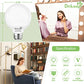 8-Pack LED Vanity Bulbs 5W 4000K Natural Daylight, E26 Base, 60W Incandescent Equivalent, 500LM, Non-Dimmable