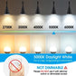 MAXvolador E12 LED 60W Equivalent Daylight White 5000K Ceiling Fan Bulbs, 600LM CRI 85+ Small Base Candelabra Bulbs, 6W Non-Dimmable, Pack of 6