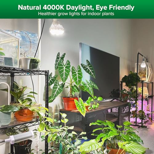 SANSI Grow Lights for Indoor Plants, Full Spectrum 36W Grow Light Bulbs (400 Watt Equiv) with Optical Lens for High PPFD, PPF 65.6 umol/s LED Energy Saving Plant Light for Indoor Growing Seed Starting