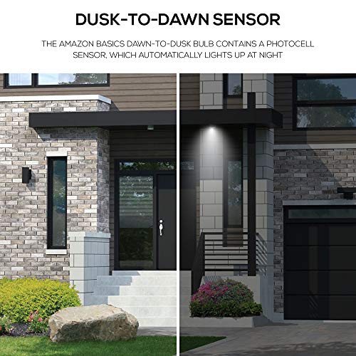 Basics A19 Dusk to Dawn Sensor LED Outdoor Light Bulb, 60W Equivalent, Energy-Efficient 9W, Daylight 5000K, E26 Base, 10,000 Hours, 2 Count (Pack of 1)