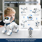 Robot Dog Toy for Kids 3-12: Remote Control Interactive Robot Puppy with Touch & Follow, Programmable Tricks, Dancing & Walking, Birthday Gift for Smart Boys & Girls