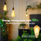 DiCUNO E26 Edison Bulbs 60W, 2200K Amber Warm, 6W LED Edison Bulb ST64, Amber Glass, Vintage LED Light for Home, 600LM, Non-Dimmable, CRI 80, Pack of 2