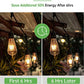 Dusk to Dawn Edison Light Bulbs ST19, Vintage Amber Glass, 2300K Amber Warm, 6.5W=60W, Non-Dimmable Auto On/Off Light Sensing LED Filament Bulb Outdoor, 700LM, E26, 2-Pack, HQ-H027