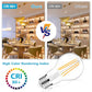 Ascher 60W Equivalent LED Filament Light Bulbs – Warm White 2700K, E26 A19, Pack of 6, Non-Dimmable