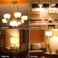 Vgogfly LED Bulb 3W 25 Watt Equivalent Light Bulbs Night Stand Table Lamp Warm White 2700K LED Energy Saving E26 Medium Screw Base for Home Light 4 Pack