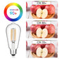Vintage LED Edison Bulbs 6W, Equivalent 60W Incandescent, Warm White 2700K, ST58 Antique LED Filament Bulbs with 90+ CRI, E26 Medium Base,Dimmable, Clear Glass, Pack of 6