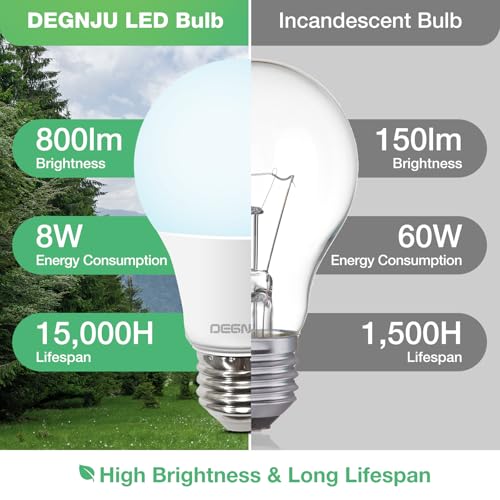 LED Light Bulbs Daylight 5000K, 60 Watt Equivalent LED Bulbs, A19 Standard Bulbs, 800 LM, 15000 Hours, E26 Base, Non-Dimmable, 8W LED Bulbs for Bedroom Living Room 24 Pack