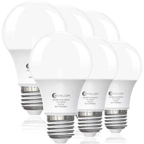 6-Pack A19 LED Light Bulbs, 60 Watt Equivalent Daylight 5000K with E26 Base, Efficient 9W, 800 Lumens Non-Dimmable LED Bulbs, 15000 Hours