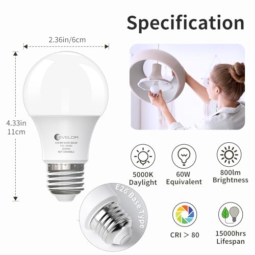 6-Pack A19 LED Light Bulbs, 60 Watt Equivalent Daylight 5000K with E26 Base, Efficient 9W, 800 Lumens Non-Dimmable LED Bulbs, 15000 Hours