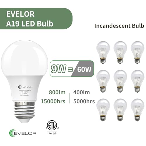 6-Pack A19 LED Light Bulbs, 60 Watt Equivalent Daylight 5000K with E26 Base, Efficient 9W, 800 Lumens Non-Dimmable LED Bulbs, 15000 Hours