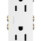 Legrand Radiant 885TRWCC21 15 Amp Decorator Duplex Outlet, White, 1 Count