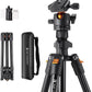 K&F CONCEPT 64 inch/163 cm Camera Tripod,Lightweight Travel Outdoor DSLR Tripods with 360 Degree Ball Head Load Capacity 17.6 lbs/8 kg,Cellphone Clip for Smartphone Live Streaming Vlog O234A1+BH-36