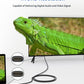 JSAUX 4K DisplayPort to HDMI Cable Adapter 10FT, DP to HDMI Male Video UHD 4K@30Hz/2K@60/1080P@120 Nylon DP to HDTV Uni-Directional Cord for Dell, Projector, Desktop, AMD, NVIDIA, Lenovo, HP, ThinkPad
