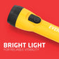 Eveready LED