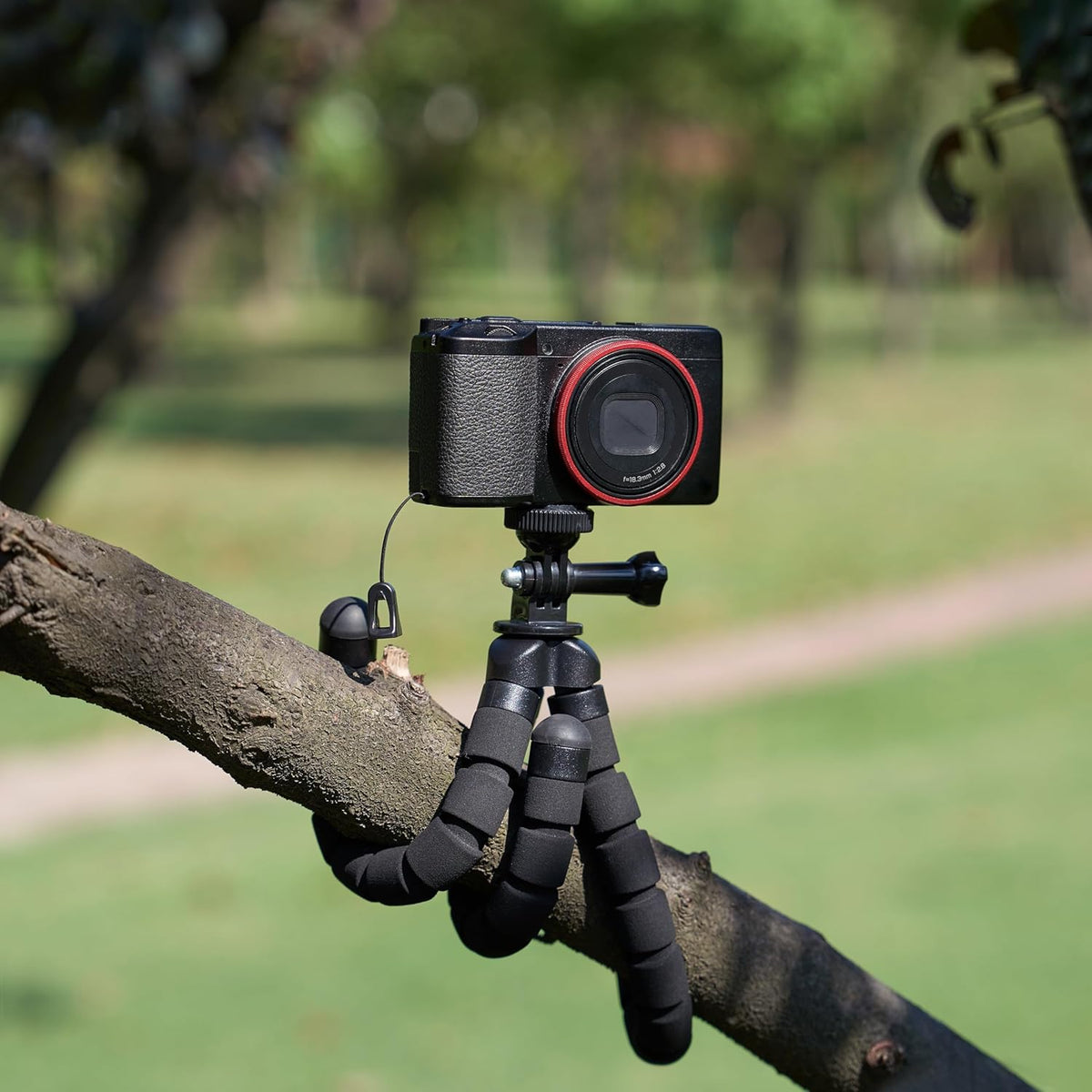 Portable and Flexible Tripod with Wireless Remote and Smartphone Clamp, 10-inch long, Black