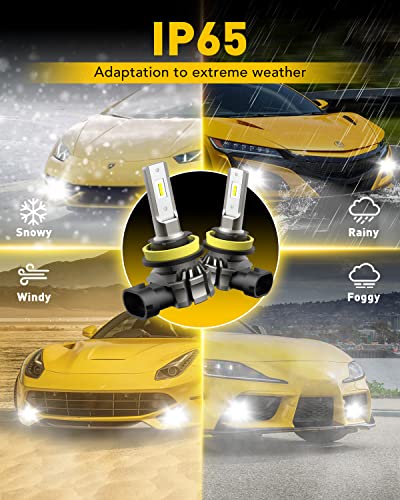 AUXITO H11/H8/H16 LED Fog Light Bulbs or DRL, 6000 Lumens 6500K Cool White Light, 300% Brightness, CSP LED Chips Fog Lamps Replacement (Pack of 2)