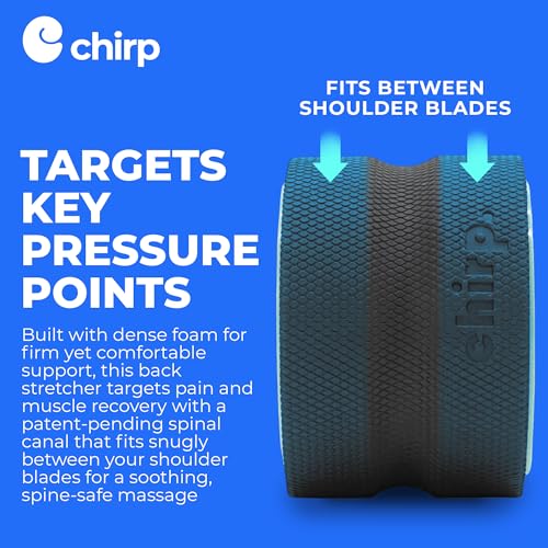 Chirp Wheel Foam Roller - 6" High-Density Muscle Roller for Back & Neck, Deep Tissue Massage, Stretching & Exercise (Mint)
