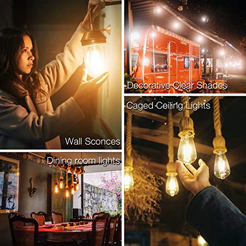DAYBETTER 4 Pack Vintage LED Edison Bulbs, E26 Led Bulb 60W Equivalent, Dimmable Led Light Bulbs, High Brightness 800 LM Warm White 2700K
