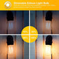 DAYBETTER 4 Pack Vintage LED Edison Bulbs, E26 Led Bulb 60W Equivalent, Dimmable Led Light Bulbs, High Brightness 800 LM Warm White 2700K